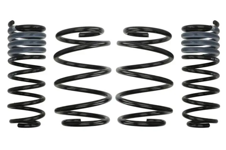 Комплект ходовой части. EIBACH E1529140 (фото 1)