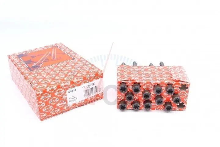 Комплект болтов головки цилидра ELRING 005.610 (фото 1)