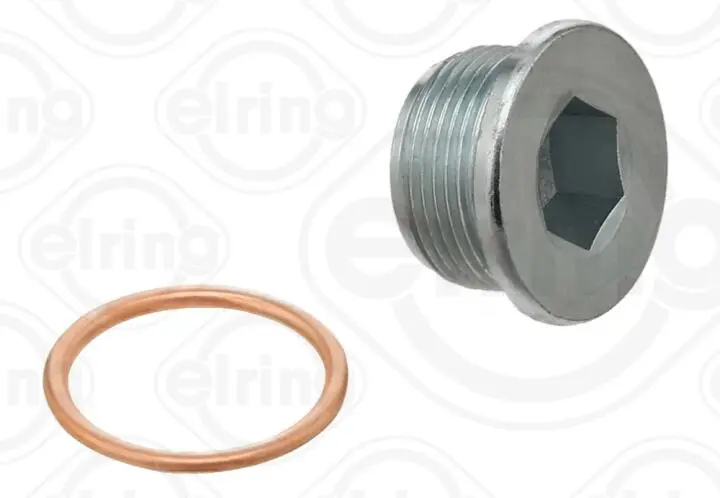 Болт слива масляного поддона ELRING 108480 (фото 1)