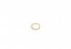 уплотнительное кольцо, резьбовая пр; уплотнительное кольцо 122.904