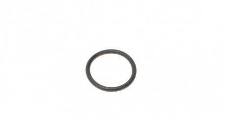 Уплотнительное кольцо, резьбовая пробка маслосливн. отверст. ELRING 163.480 (фото 1)