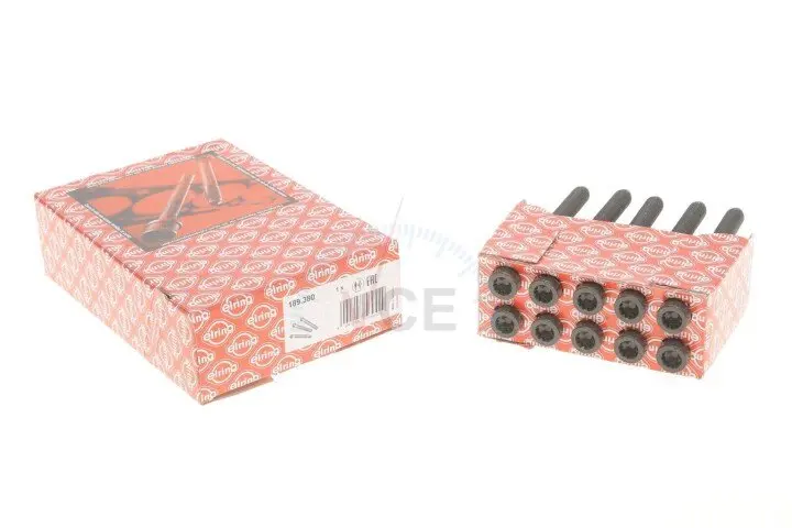 Комплект болтов головки цилиндра ELRING 189.380 (фото 1)