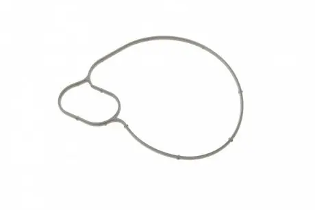 Прокладка, водяний насос ELRING 251.050