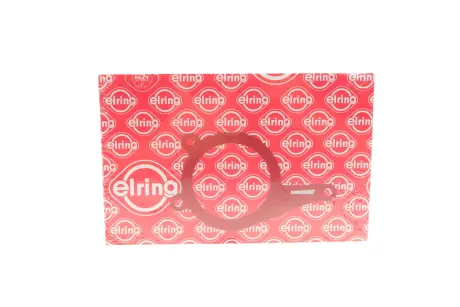 Уплотнение вакуумного насоса ELRING 254.250