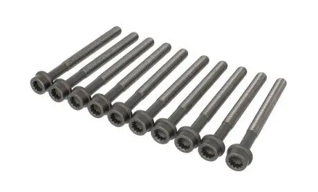 Комплект болтов головки цилидра ELRING 323.300