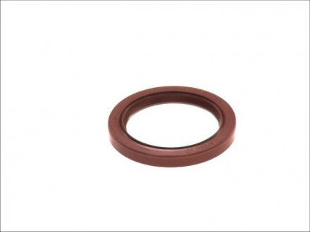 Уплотняющее кольцо, коленчатый вал; уплотнительное кольцо ELRING 336.999 (фото 1)