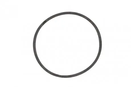 Прокладання впускного колектора ELRING 366.390