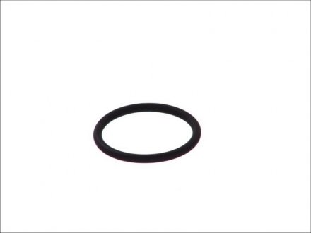Уплотнительное кольцо ELRING 390.490 (фото 1)