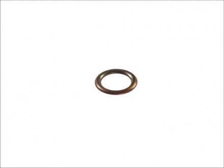 Уплотнительное кольцо, резьбовая пр; уплотнительное кольцо ELRING 394.290 (фото 1)