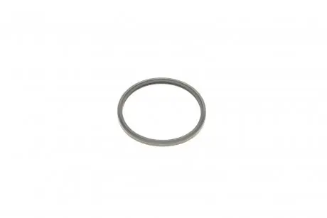 Прокладка термостата citroen jumper/peugeot boxer 2.2 hdi 06- ELRING 446.020