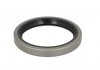 Уплотняющее кольцо, ступица колеса; уплотнительное кольцо ELRING 484.300 (фото 1)