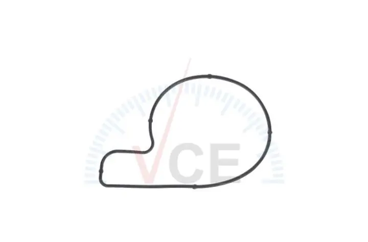 Прокладка водяной помпы ELRING 527900 (фото 1)