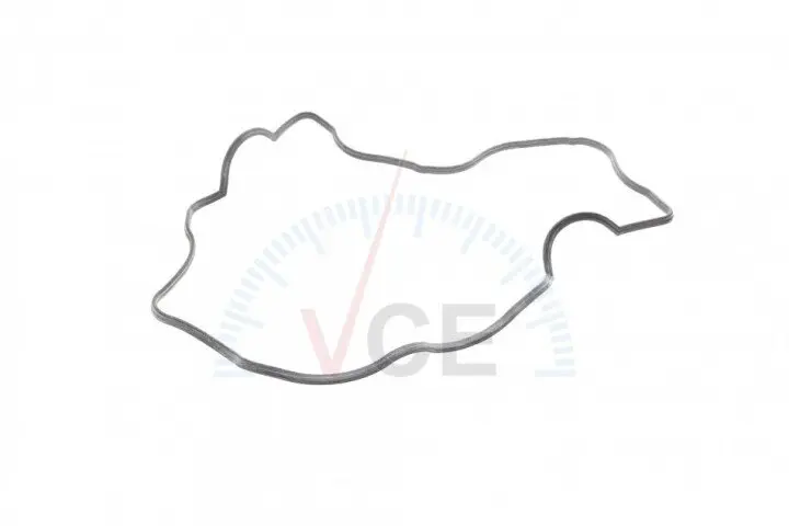 Прокладка, крышка головки цилиндра ELRING 539.440 (фото 1)