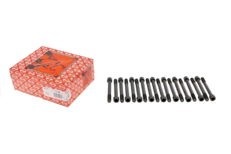 Комплект болтів головки цилідра ELRING 709.310