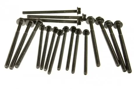 Комплект болтов головки цилидра ELRING 733.100