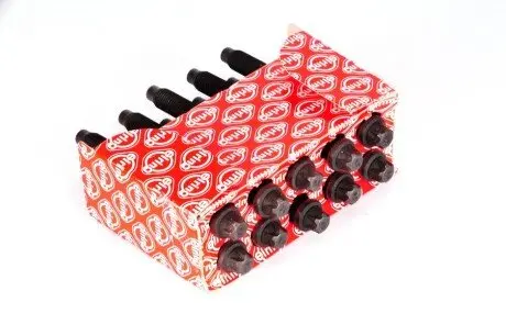 Комплект болтов головки цилидра ELRING 759.180