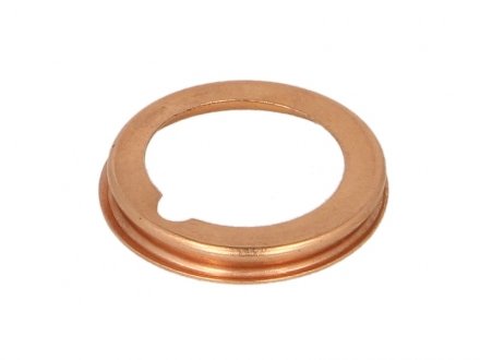 Уплотнительное кольцо, резьбовая попр. ELRING 776.319 (фото 1)