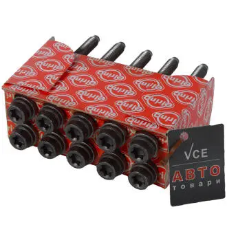 Комплект болтов головки цилидра ELRING 804.870