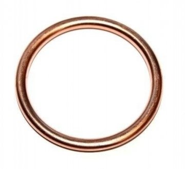 Уплотнительное кольцо, резьбовая пр; уплотнительное кольцо ELRING 813.184 (фото 1)