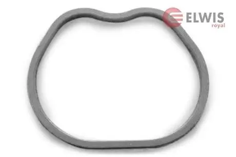 Прокладка, впускной коллектор ELWIS ROYAL 0255595