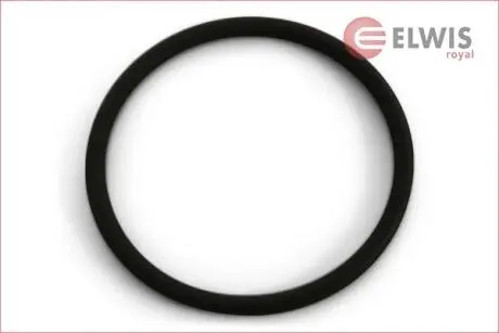 Прокладка впускного коллектора ELWIS ROYAL 0256034