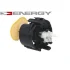 Топливный насос ENERGY NARZEDZIA G30048 (фото 1)