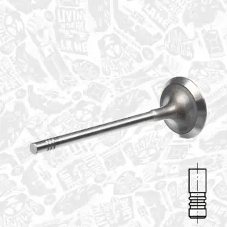 Выпускной клапан ET ENGINETEAM VE0100