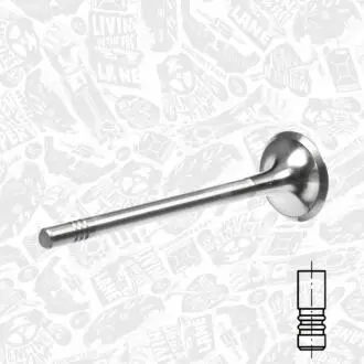 Выпускной клапан ET ENGINETEAM VE0120