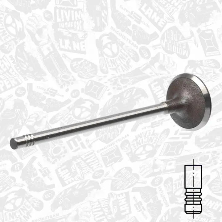 Всасывающий клапан ET ENGINETEAM VI0115 (фото 1)