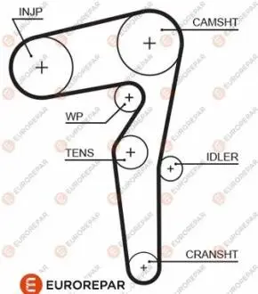 Ремень ГРМ EUROREPAR 1633142780