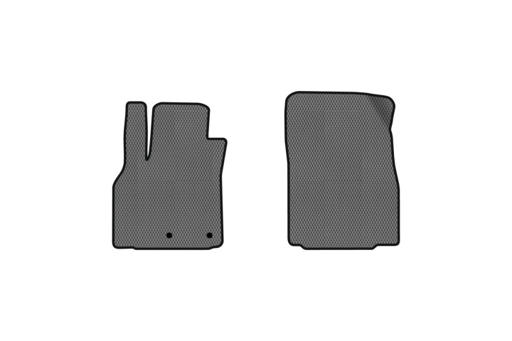 Коврики EVA в салон авто передние для Grand Scenic III 7 seats moving armrest AT Renault 2009-2015 3 поколения Minivan EU EVAtech RT11745A2RN2RGB (фото 1)