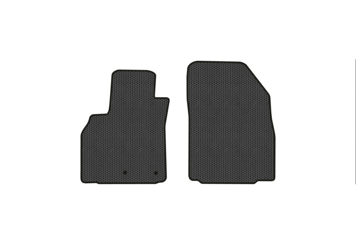 Килимки EVA в салон авто передні для Scenic III non-moving armrest AT Renault 2009-2015 3 покоління Minivan EU EVAtech RT13319AG2RN2SBB (фото 1)