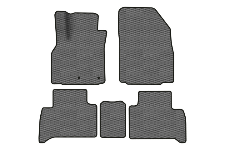 Коврики EVA в салон авто для Scenic III non-moving armrest AT Renault 2009-2015 3 поколения Minivan EU EVAtech RT13319CE5RN2RGB (фото 1)