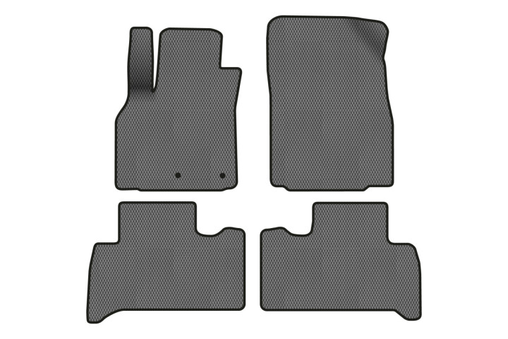 Килимки EVA в салон авто для Scenic III non-moving armrest AT Renault 2009-2015 3 покоління Minivan EU EVAtech RT13319PC4RN2RGB (фото 1)