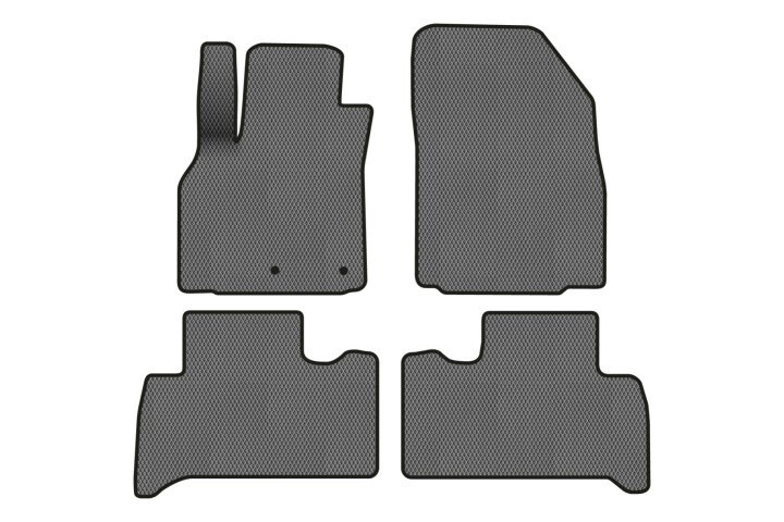 Коврики EVA в салон авто для Scenic III non-moving armrest AT Renault 2009-2015 3 поколения Minivan EU EVAtech RT13319PVC4RN2RGB (фото 1)