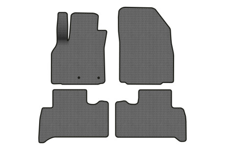 Коврики EVA в салон авто для Scenic III non-moving armrest AT Renault 2009-2015 3 поколения Minivan EU EVAtech RT13319PVC4RN2SGB