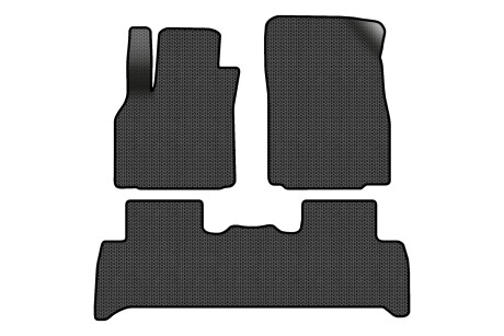 Килимки EVA в салон авто для Scenic III non-moving armrest AT Renault 2009-2015 3 покоління Minivan EU EVAtech RT13319Z3SBB