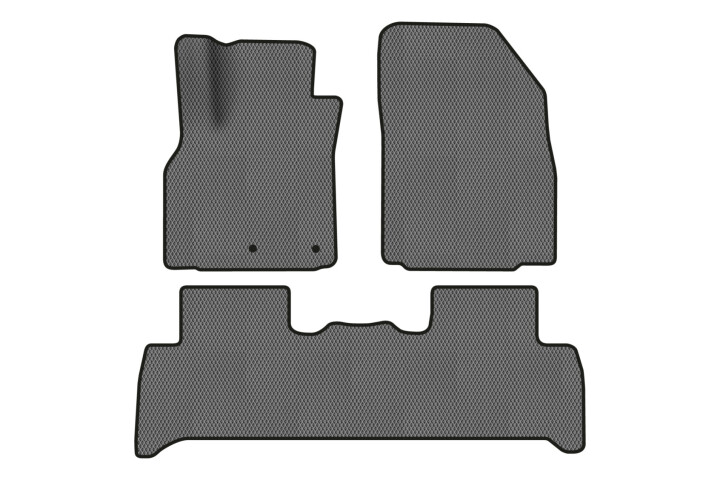 Коврики EVA в салон авто для Scenic III non-moving armrest AT Renault 2009-2015 3 поколения Minivan EU EVAtech RT13319ZE3RN2RGB (фото 1)