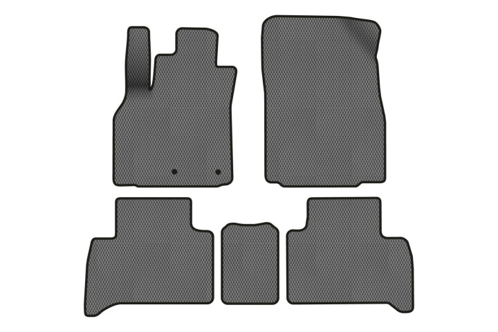 Коврики EVA в салон авто для Scenic III non-moving armrest MT Renault 2009-2015 3 поколения Minivan EU EVAtech RT13468C5RN2RGB (фото 1)