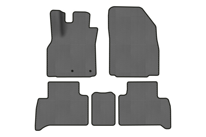 Коврики EVA в салон авто для Scenic III non-moving armrest MT Renault 2009-2015 3 поколения Minivan EU EVAtech RT13468CE5RN2RGB (фото 1)