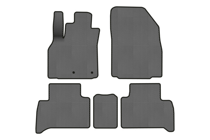 Коврики EVA в салон авто для Scenic III non-moving armrest MT Renault 2009-2015 3 поколения Minivan EU EVAtech RT13468CV5RN2RGB (фото 1)