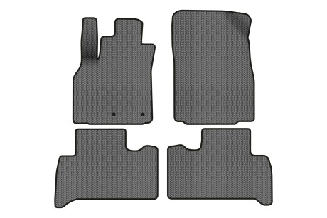 Килимки EVA в салон авто для Scenic III non-moving armrest MT Renault 2009-2015 3 покоління Minivan EU EVAtech RT13468PC4RN2SGB