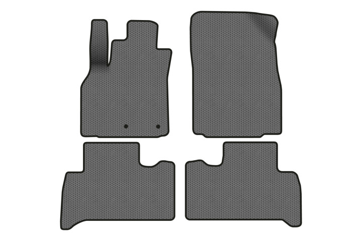 Килимки EVA в салон авто для Scenic III non-moving armrest MT Renault 2009-2015 3 покоління Minivan EU EVAtech RT13468PC4RN2SGB (фото 1)