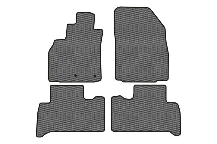 Коврики EVA в салон авто для Scenic III non-moving armrest MT Renault 2009-2015 3 поколения Minivan EU EVAtech RT13468PGC4RN2RGB (фото 1)