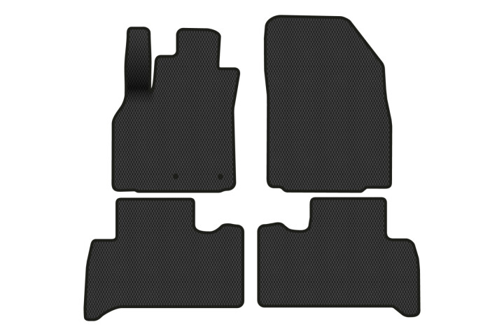 Килимки EVA в салон авто для Scenic III non-moving armrest MT Renault 2009-2015 3 покоління Minivan EU EVAtech RT13468PVC4RN2RBB (фото 1)