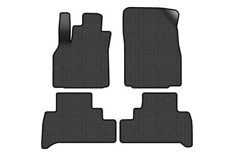 Килимки EVA в салон авто для Scenic III moving armrest MT Renault 2009-2015 3 покоління Minivan EU EVAtech RT13469PC4SBB