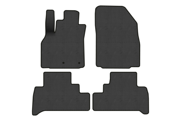 Килимки EVA в салон авто для Scenic III moving armrest MT Renault 2009-2015 3 покоління Minivan EU EVAtech RT13469PVC4RN2SBB (фото 1)