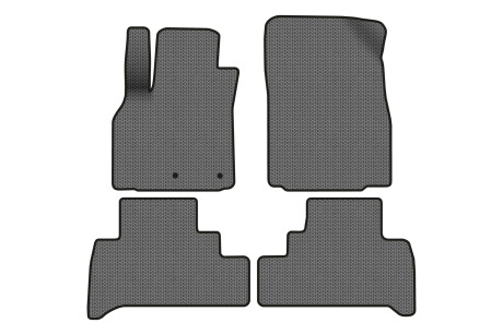 Килимки EVA в салон авто для Scenic III moving armrest AT Renault 2009-2015 3 покоління Minivan EU EVAtech RT2893PC4RN2SGB