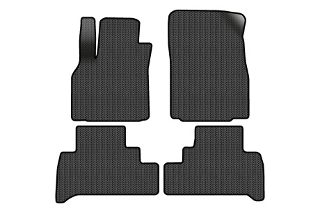 Килимки EVA в салон авто для Scenic III moving armrest AT Renault 2009-2015 3 покоління Minivan EU EVAtech RT2893PC4SBB