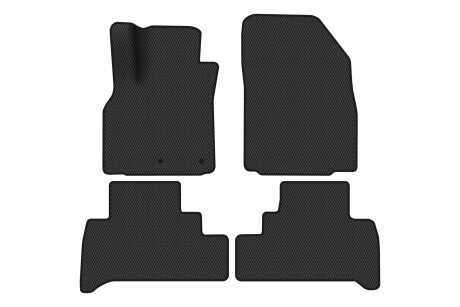 Килимки EVA в салон авто для Scenic III moving armrest AT Renault 2009-2015 3 покоління Minivan EU EVAtech RT2893PEC4RN2RBB